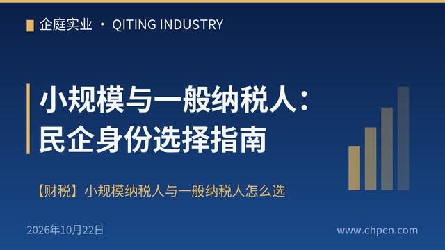 小规模与一般纳税人:民企身份选择指南